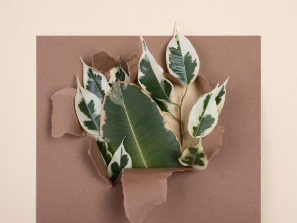 Arte com elementos naturais: como usar folhas, galhos e texturas da natureza nas suas criações
